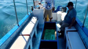 Fondo de cristal portada