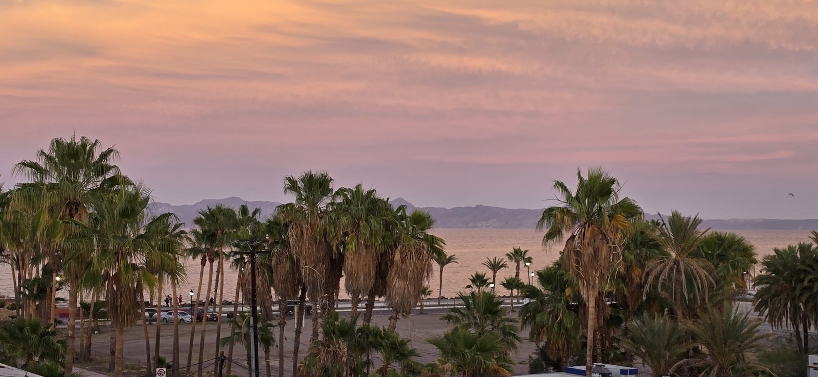 WhatsApp Image 2025-04-23 at 7.25.34 PM