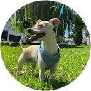 gisselle medina profile picture